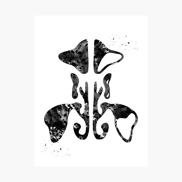 Item preview, Paranasal Sinus designed and sold by Liededrom..