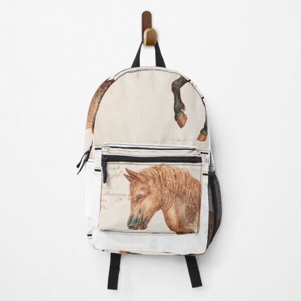 Item preview, Horse by Anselmus Boëtius de Boodt - 1599 designed and sold by BritishYank.