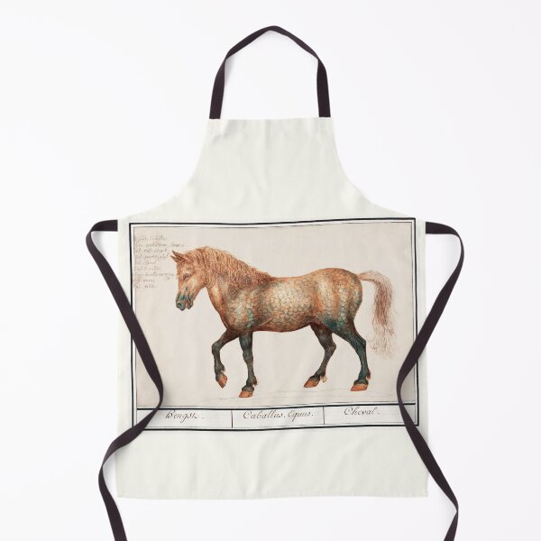 Item preview, Horse by Anselmus Boëtius de Boodt - 1599 designed and sold by BritishYank.