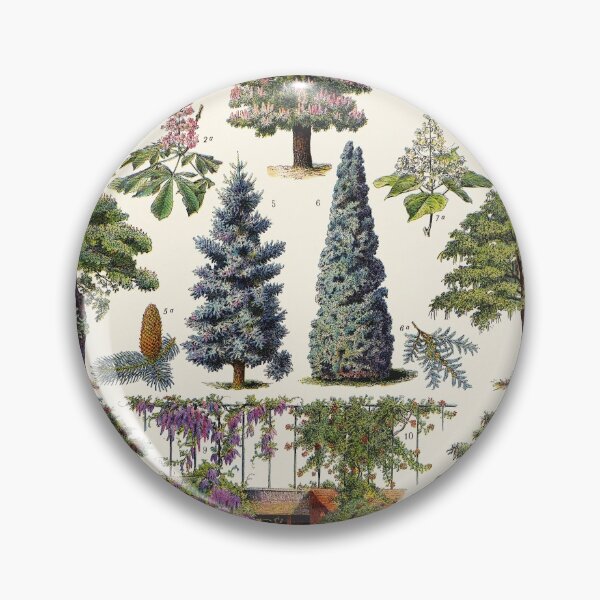 Item preview, Adolphe Millot - jardin - Arbres d ornement 01 - Vintage french botanical illustration designed and sold by Gardenlibrary.