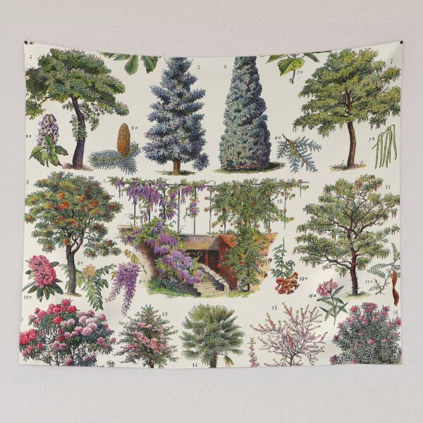 Item preview, Adolphe Millot - jardin - Arbres d ornement 01 - Vintage french botanical illustration designed and sold by Gardenlibrary.