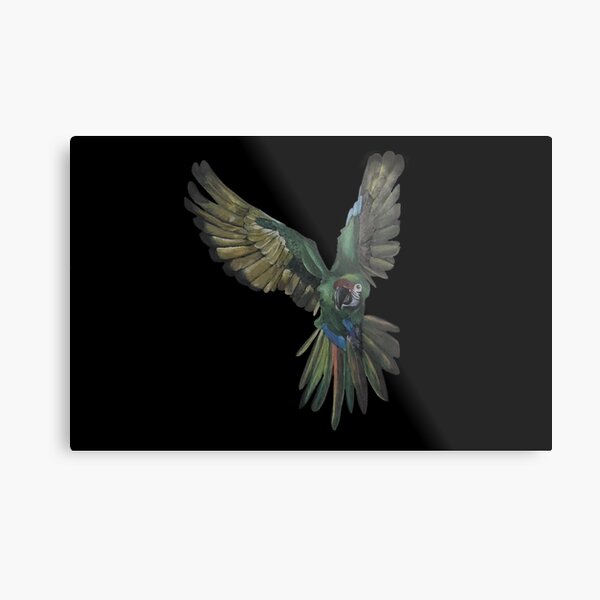 Hand drawn colored pencil parrot Metal Print