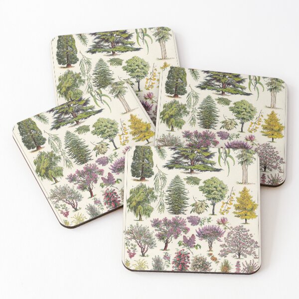 Item preview, Adolphe Millot - jardin - Arbres d ornement 02 - Vintage french botanical illustration designed and sold by Gardenlibrary.
