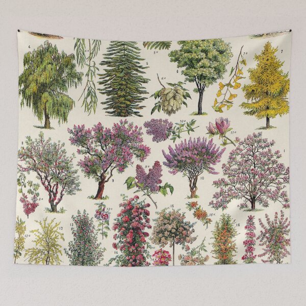 Item preview, Adolphe Millot - jardin - Arbres d ornement 02 - Vintage french botanical illustration designed and sold by Gardenlibrary.
