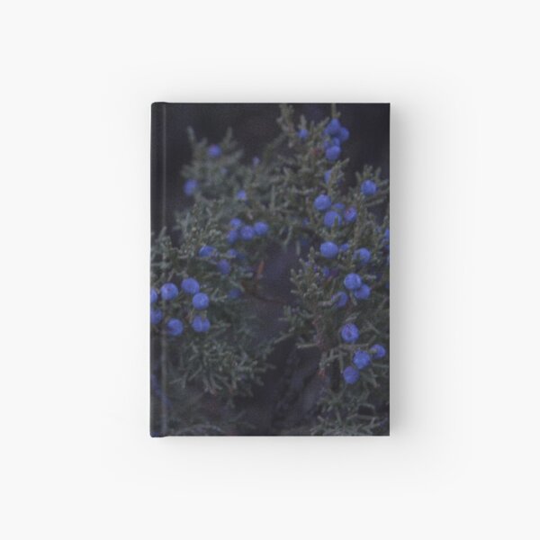 juniper Hardcover Journal