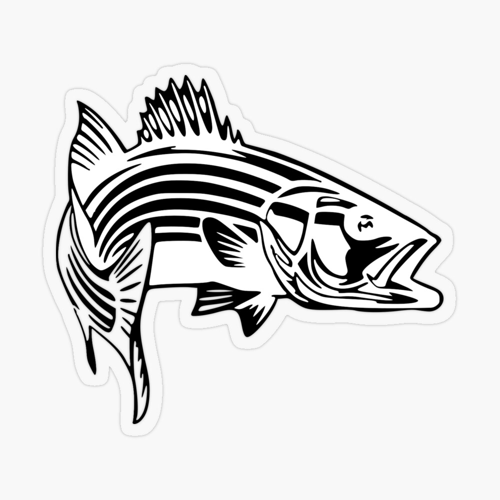 Striper Striped Bass Sticker Decal -  Canada