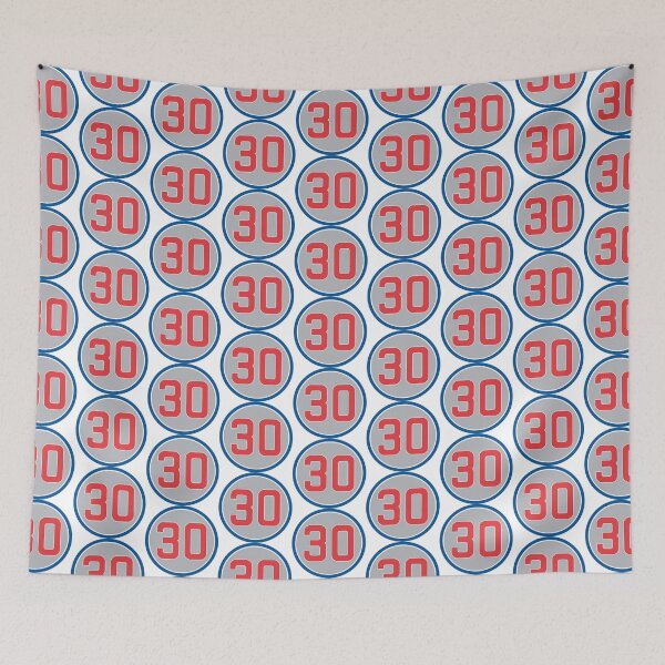 Item preview, Ted Lilly #30 Jersey Number designed and sold by StickBall.