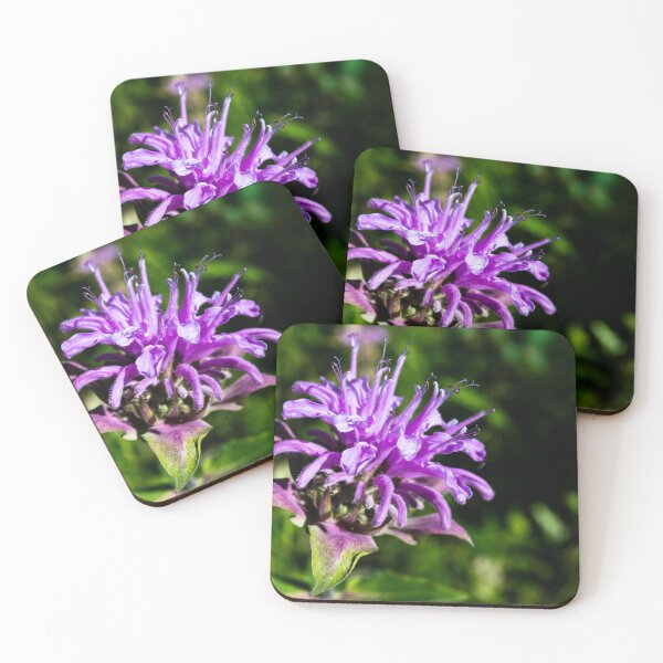 Item preview, Purple wildflower designed and sold by CanadianWild418.