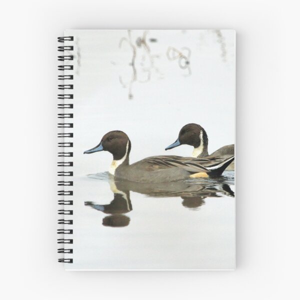 Item preview, Pintail Ducks designed and sold by LisaCook1.