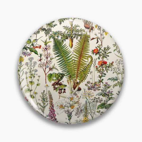 Item preview, Adolphe Millot - Plantes Medicinales 02 - Vintage french botanical illustration designed and sold by Gardenlibrary.
