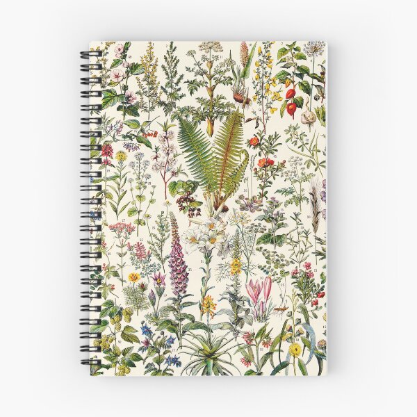 Item preview, Adolphe Millot - Plantes Medicinales 02 - Vintage french botanical illustration designed and sold by Gardenlibrary.