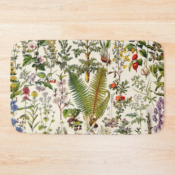 Item preview, Adolphe Millot - Plantes Medicinales 02 - Vintage french botanical illustration designed and sold by Gardenlibrary.
