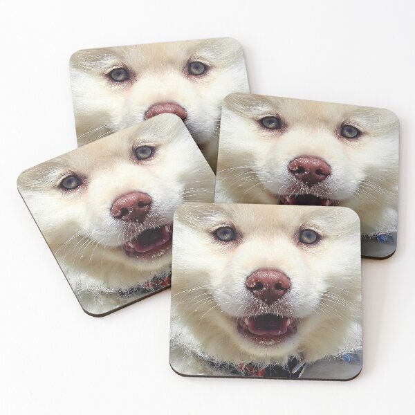 Item preview, Dog designed and sold by Cheesy06.