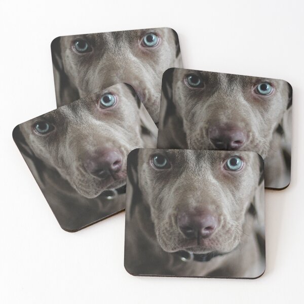 Item preview, Dog 3 designed and sold by Cheesy06.