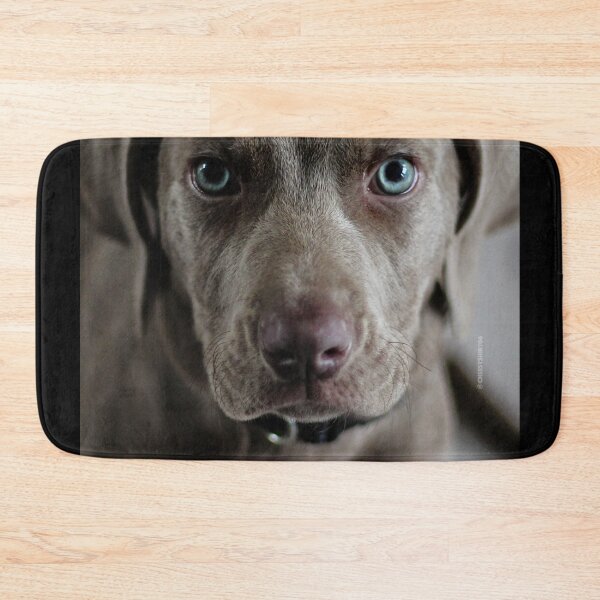Item preview, Dog 3 designed and sold by Cheesy06.