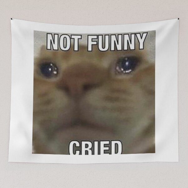 Item preview, Not Funny Cried designed and sold by rharker09.