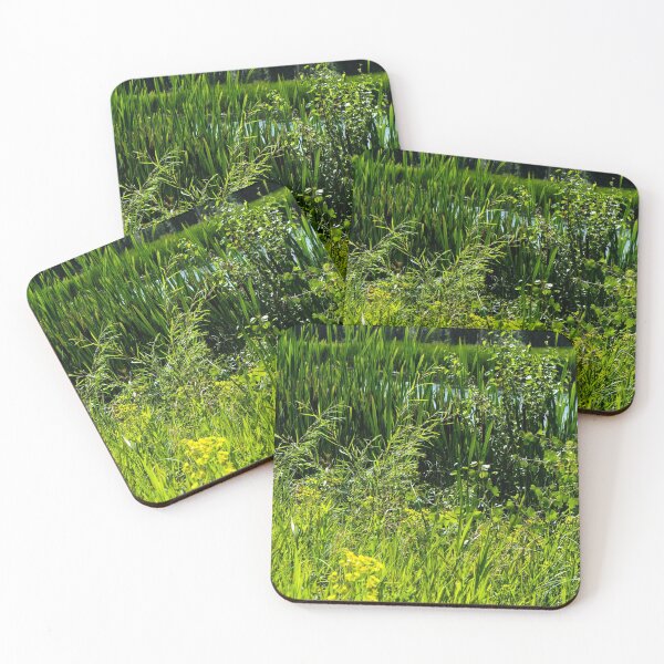 Item preview, Urban Park designed and sold by CanadianWild418.