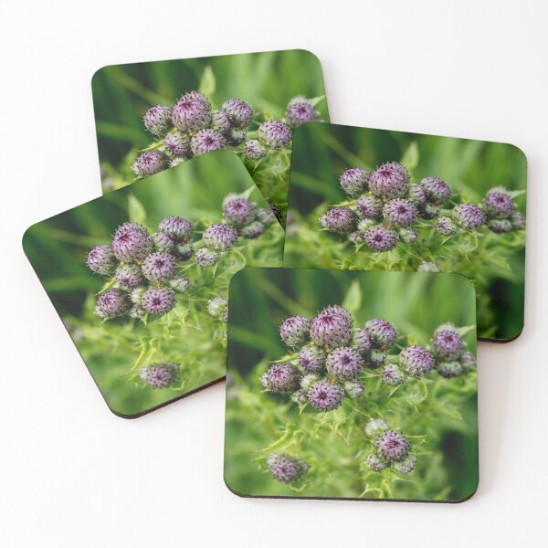 Item preview, Thistles designed and sold by CanadianWild418.