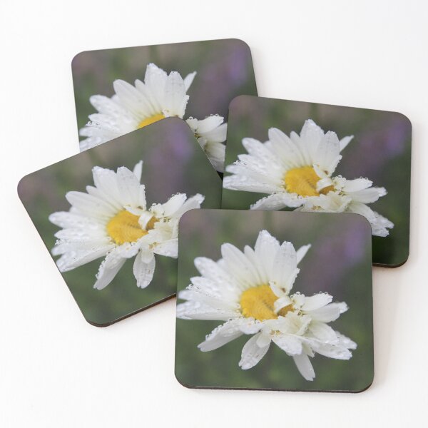 Item preview, Margarita lluviosa designed and sold by photosbyastra.
