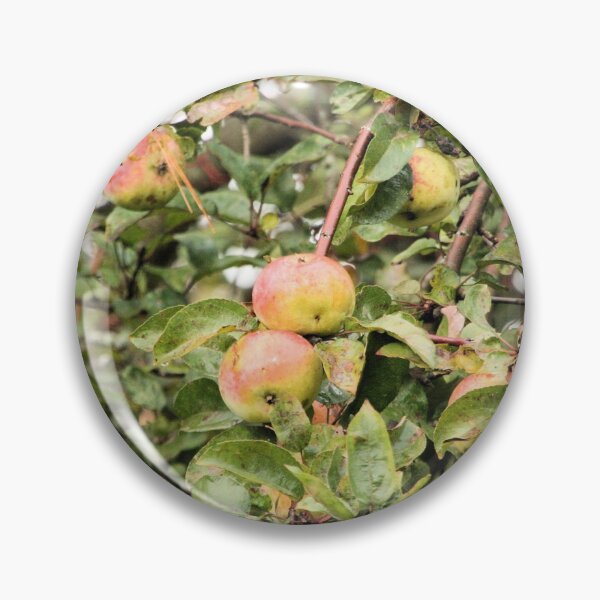Item preview, Apples designed and sold by TammieE.
