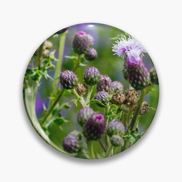 Item preview, Thistles designed and sold by CanadianWild418.