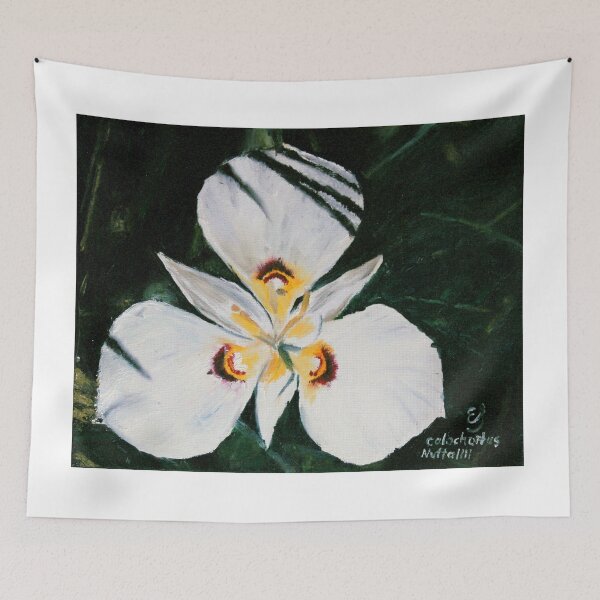 Item preview, Calochortis Nuttallii, Utah Sego Lily designed and sold by Elizabeth  Scadden.