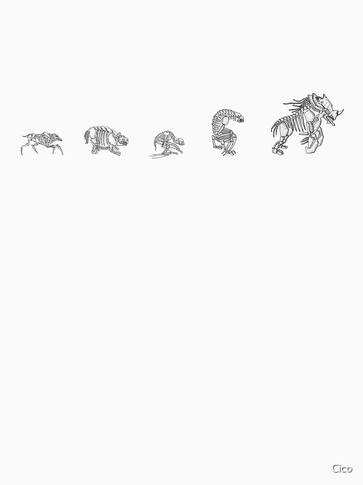 Evolution Or Natural Selection ? by Cico