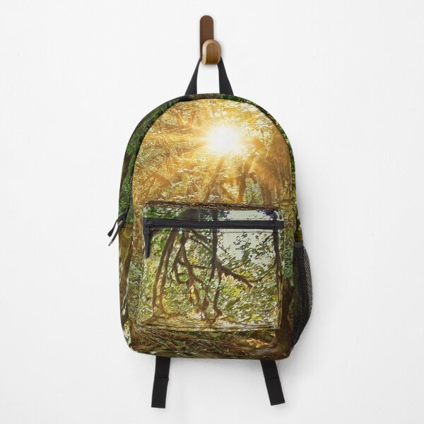 Item preview, Sunrise in the Hoh Rainforest 2. designed and sold by Alex Preiss.