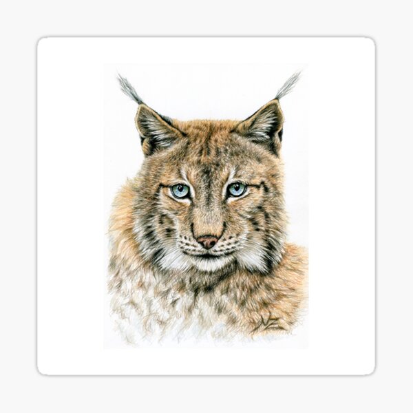 The Lynx - Der Luchs Sticker