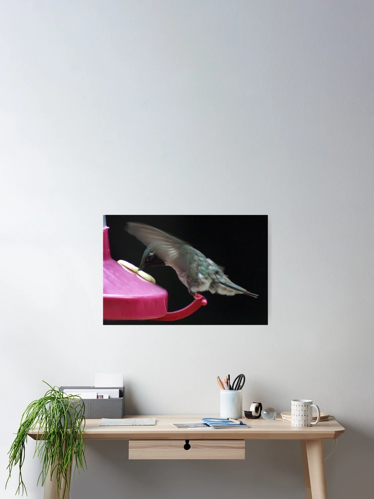 Thumbnail 2 of 3, Poster, Dive In designed and sold by MichelleLyttle.