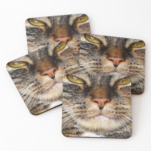 Item preview, Cats designed and sold by Cheesy06.