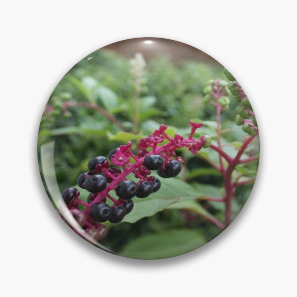 Item preview, Pretty Deadly Pokeweed DPG150828a designed and sold by CSteenArt.