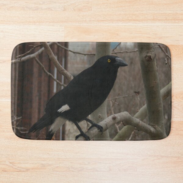 Item preview, Pied Currawong DPG150611 designed and sold by CSteenArt.