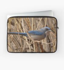 Western Scrub Jay (Aphelocoma californica) Laptop Sleeve