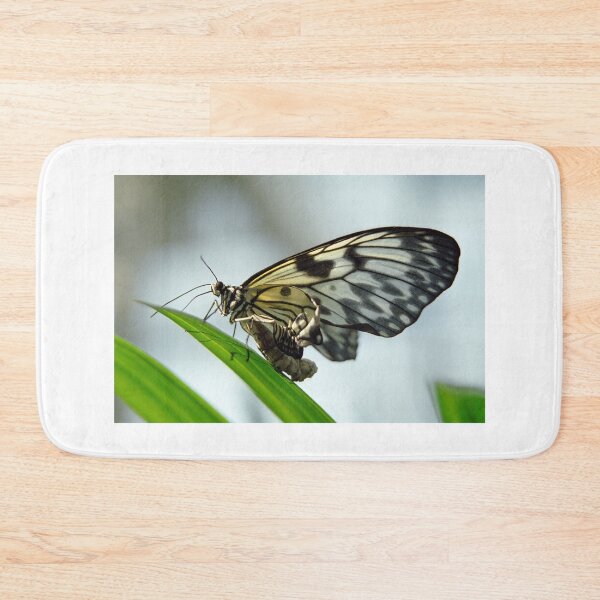 Item preview, Birth of a butterfly 2 designed and sold by Lenka.