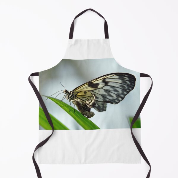 Item preview, Birth of a butterfly 2 designed and sold by Lenka.