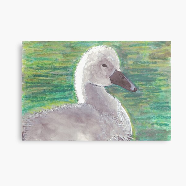 Metal Print
