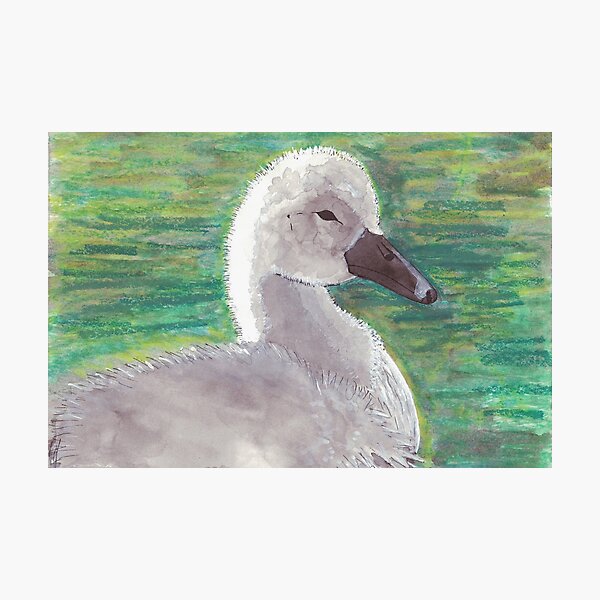Photographic Print