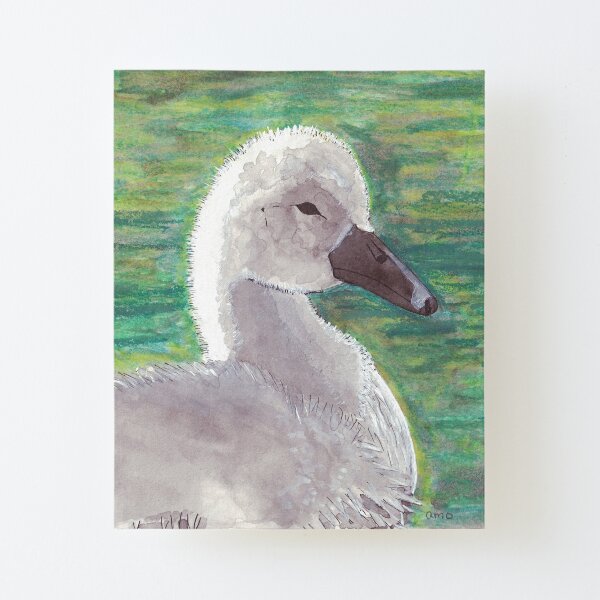 Canvas Mounted Print