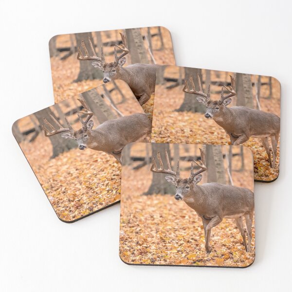 Item preview, Autumn Buck designed and sold by ReflectPhoto.