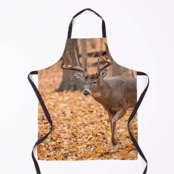 Item preview, Autumn Buck designed and sold by ReflectPhoto.