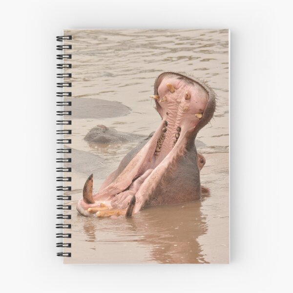 Item preview, Hippo yawn  designed and sold by Barny  Martin.