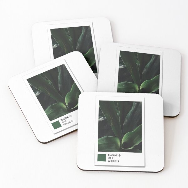 Item preview, green plant polaroid  designed and sold by mariahmoniquedesign.