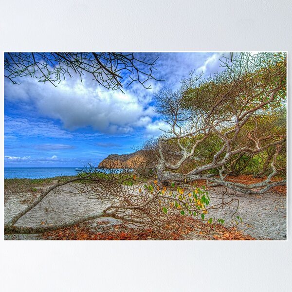 Item preview, Once I dreamed of the Perfect Beach designed and sold by Steven Kight.