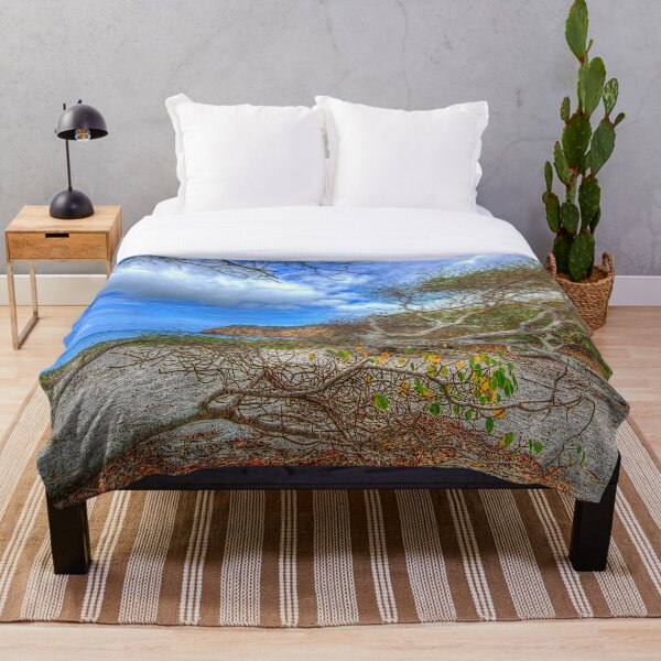 Item preview,  entonces lo encontré en Los Frailes designed and sold by Steven Kight.