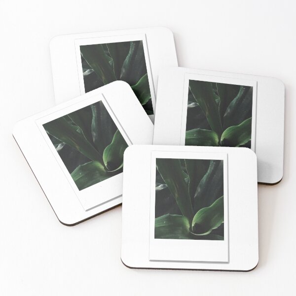 Item preview, green leaves plant polaroid sticker designed and sold by mariahmoniquedesign.