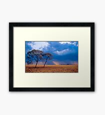 Storm over Mitchell Grass plains, western Queensland Framed Print