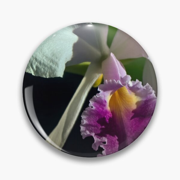 Item preview, Cattleya subvar Kodama designed and sold by alanathrower.