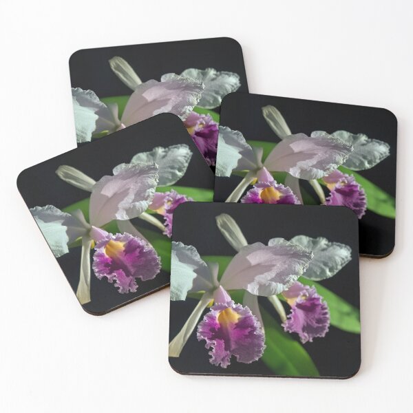 Item preview, Cattleya subvar Kodama designed and sold by alanathrower.