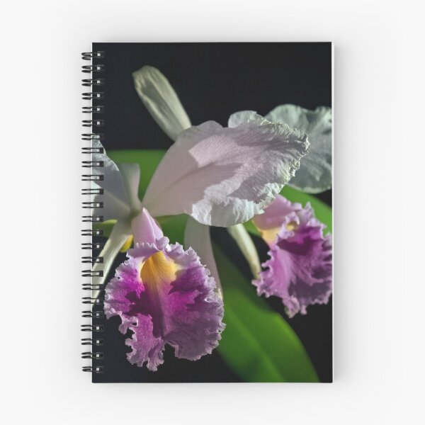 Item preview, Cattleya subvar Kodama designed and sold by alanathrower.